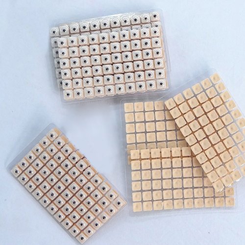 Semillas de Vaccaria para Auriculoterapia - Parches con Adhesivo 300 o 600 Unidades - Image 15