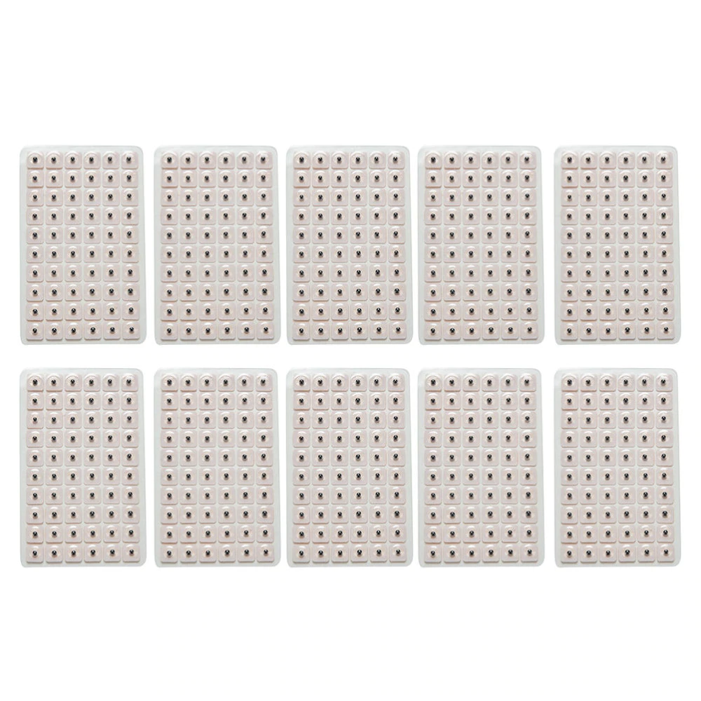 Semillas de Vaccaria para Auriculoterapia - Parches con Adhesivo 300 o 600 Unidades - Image 11